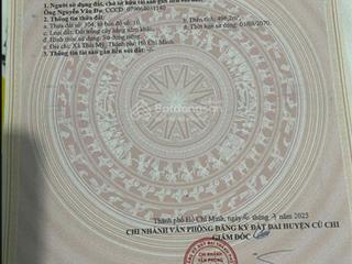 Bán đất thái mỹ củ chi  3700m² mặt tiền nhựa  1.5km đến trung tâm  giá 1tr/m²