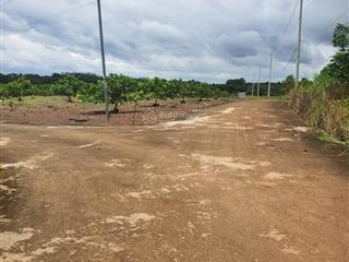 1000m2 phường đồng xoài tỉnh đồng nai 285 triệu bao sang tên gần chợ, dich vụ công đồng xoài