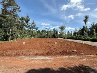 185 triệu đất thổ cư 340m2 đất 100 thổ cư đường mở rộng 26m đi thẳng vào kcn vsip 4200ha