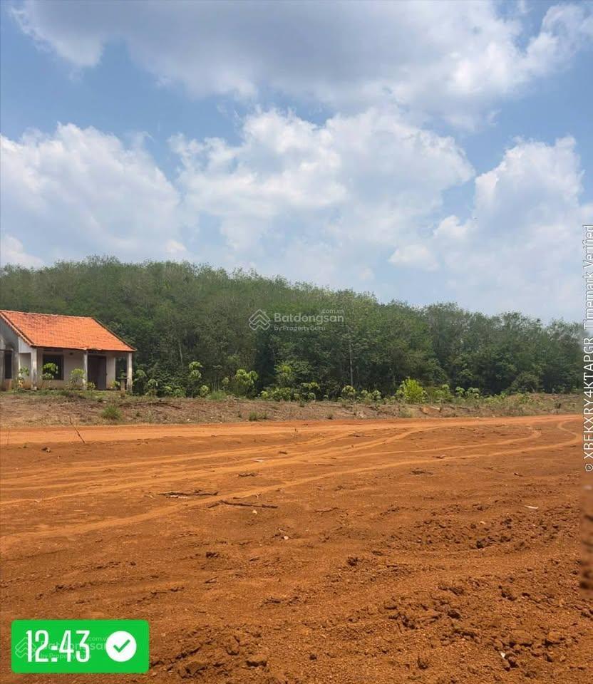 1000m2 100 triệu bao sổ, 1 lô, thiện chí gọi em dẫn đi coi đất, đất tại thành phố đồng nai