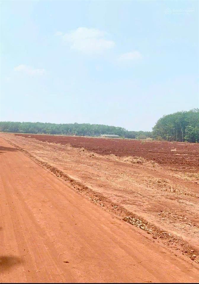 Đất 1000m2 kế bên tuyến 2 vào cổng khu công nghiệp, ngang 27m rộng rãi vuông vắn chỉ 285 triệu