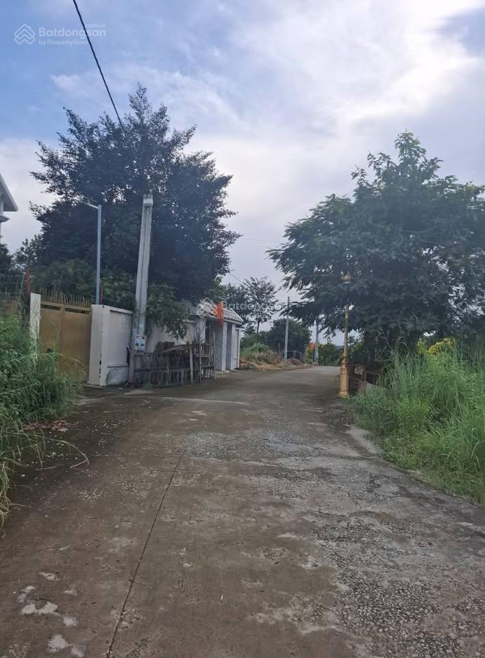 Đất đồng xoài giá nông thôn cắt lỗ chỉ còn 250 triệu đất ở đô thị, quan tâm nhắn em