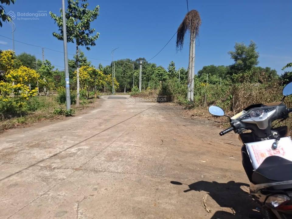 Đất đồng xoài giá nông thôn cắt lỗ chỉ còn 250 triệu đất ở đô thị, quan tâm nhắn em