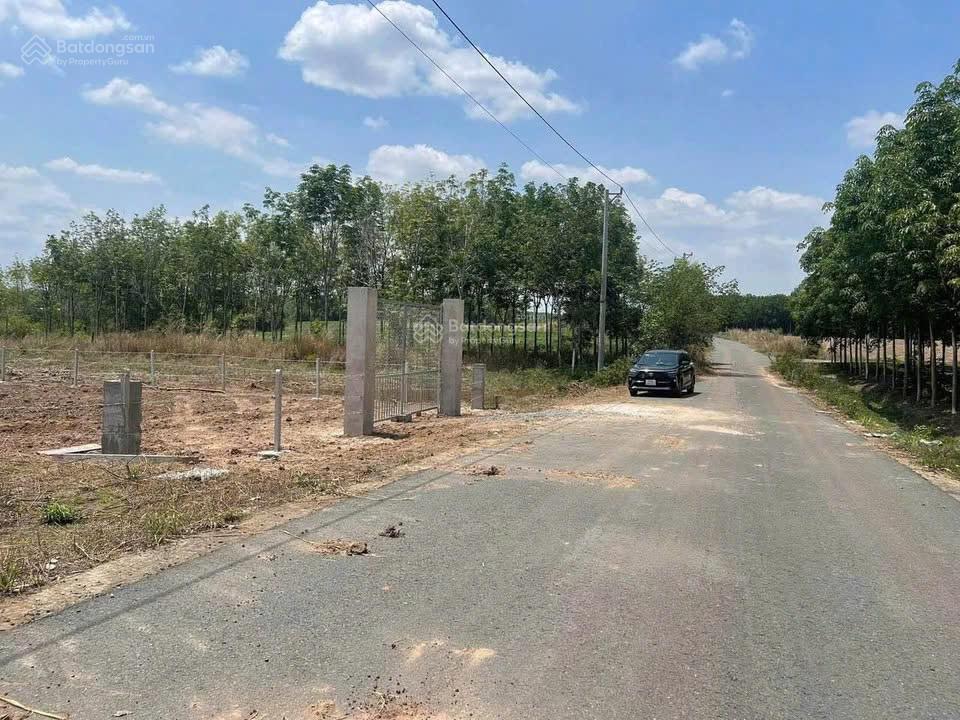 Ngang 27m bám đường, vuông vắn 1000m2. ngang rộng sau này xây được 7 căn kiot cho thuê