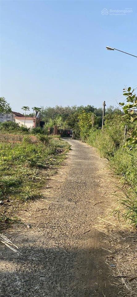 Bán đất chính chủ trần quốc đạt ngang hơn 14 tổng 447m2 có 100m thổ cư gần trường cấp 3 tân tiến