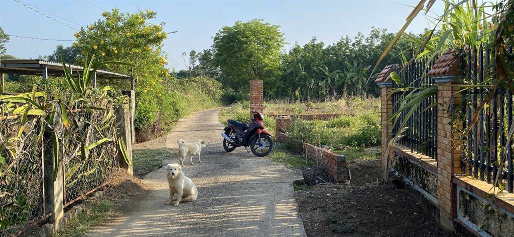 Bán đất chính chủ trần quốc đạt ngang hơn 14 tổng 447m2 có 100m thổ cư gần trường cấp 3 tân tiến