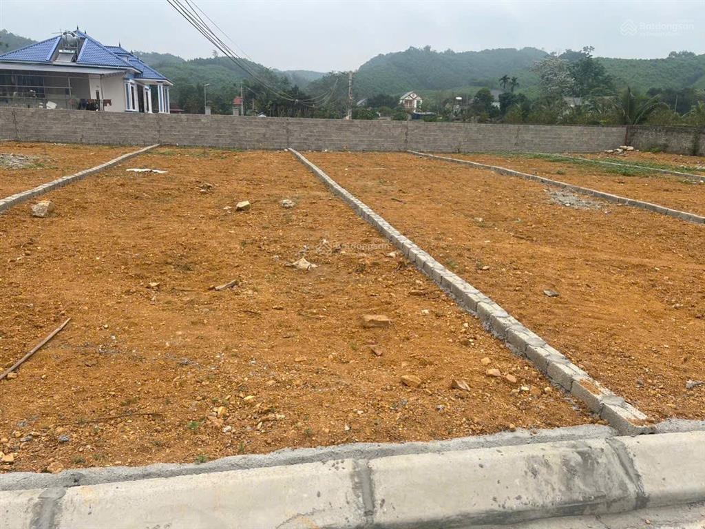 Bán 6 lô đất liền kề thị trấn 1300m2 48m mt 200 triệu/lô khu cạnh công nghiệp thạch quảng