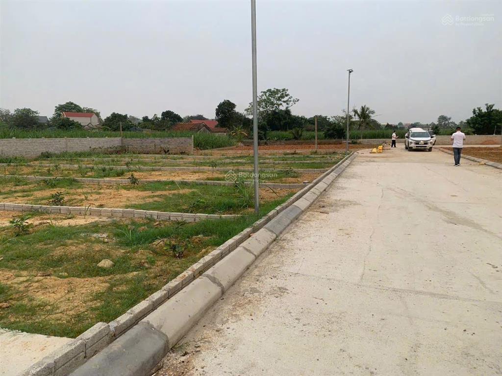 Bán 6 lô đất liền kề thị trấn 1300m2 48m mt 200 triệu/lô khu cạnh công nghiệp thạch quảng