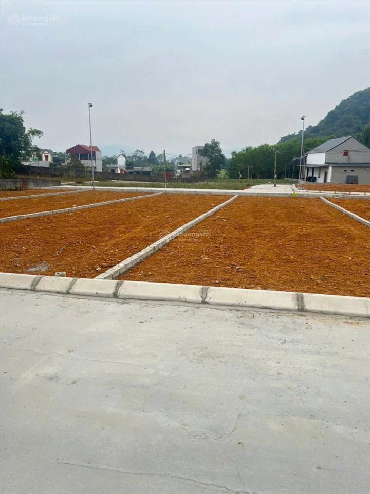 Bán 6 lô đất liền kề thị trấn 1300m2 48m mt 200 triệu/lô khu cạnh công nghiệp thạch quảng