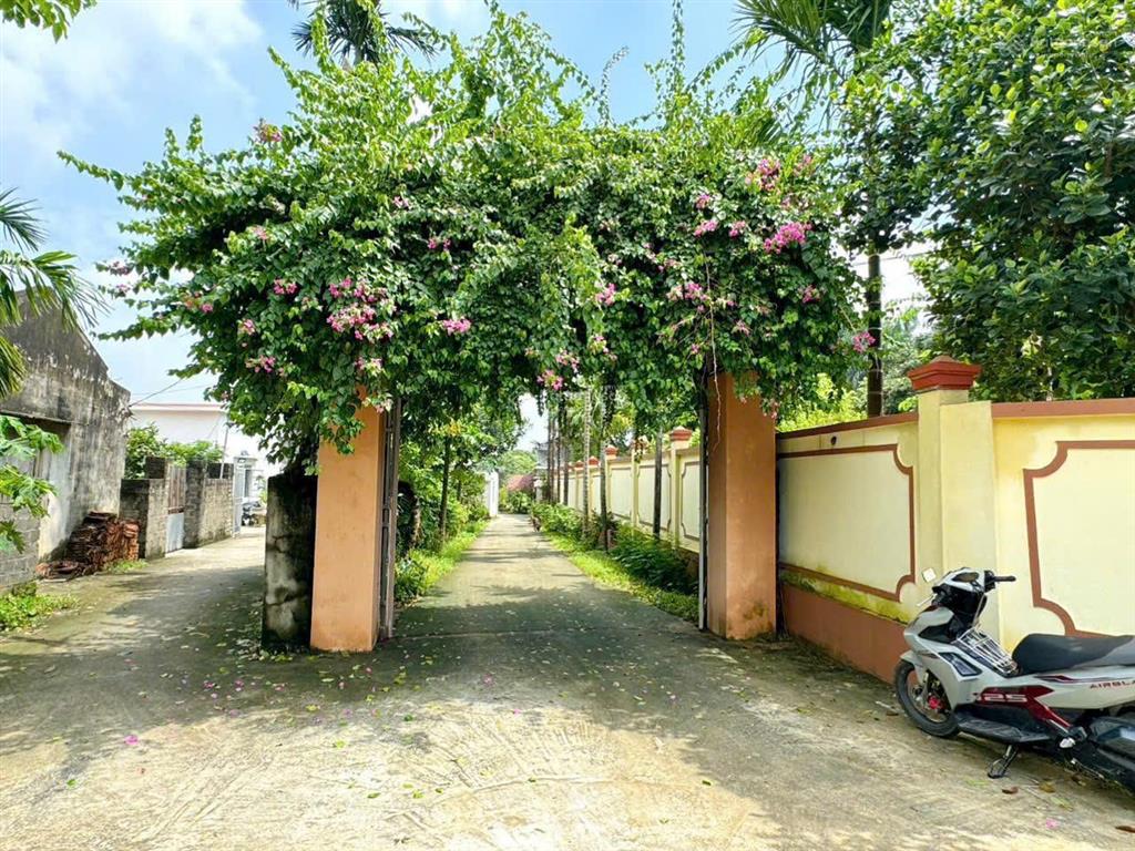 Đất siêu đẹp khuôn viên nhà vườn tại suối sếu  nhuận trạch  lương sơn  hòa bình
