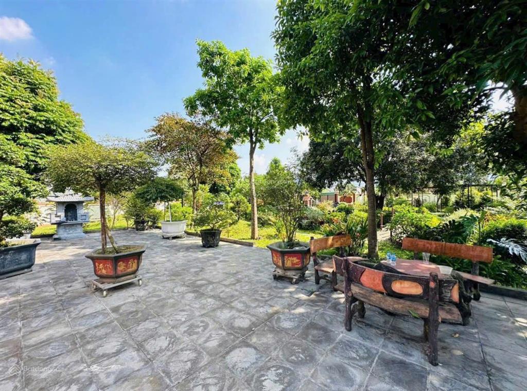 Đất siêu đẹp khuôn viên nhà vườn tại suối sếu  nhuận trạch  lương sơn  hòa bình