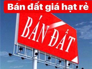 Bán đất thổ cư hường trầm thụy lâm, đông anh nay thuộc xã thư lâm