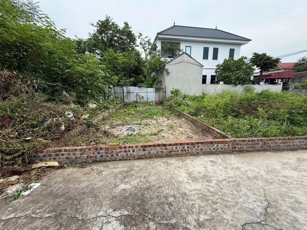 Chính chủ bán gấp 40m2 đất thạc quả sát đường 60m sân bay gia bình  vin cổ loa