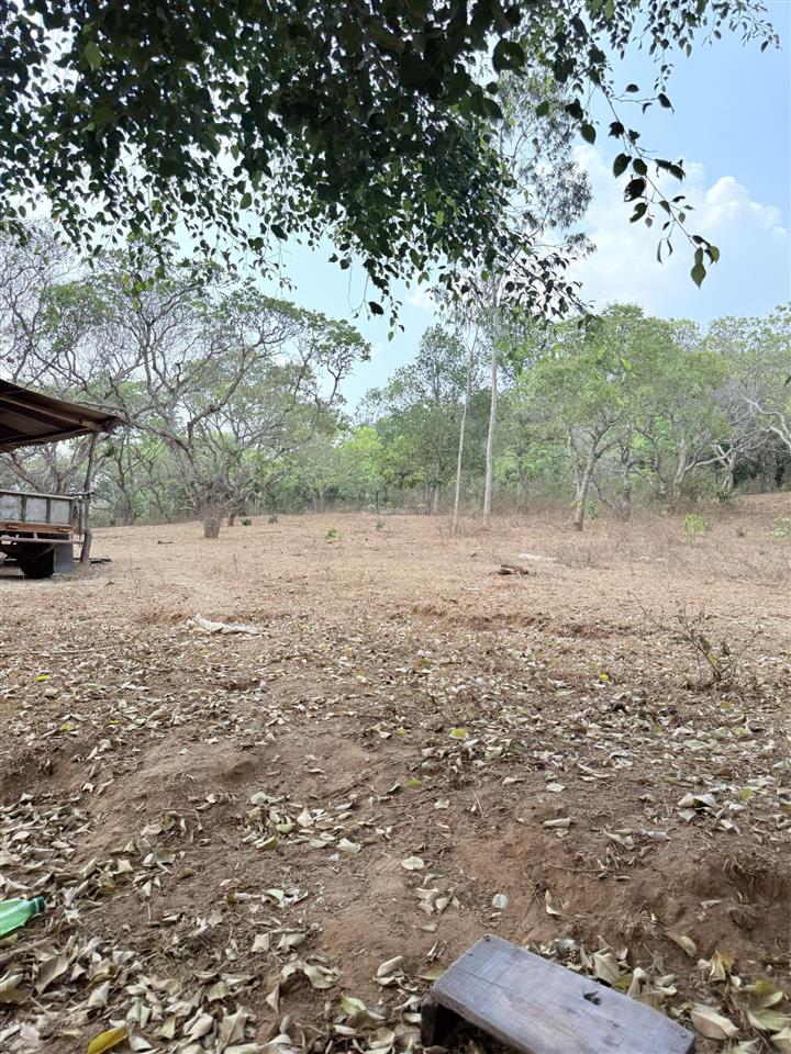 Bán đất vườn làm nông nghiệp tại thôn sơn lộc xã ea kar 12000 m2, sổ đỏ đầy đủ, 400 thổ cư