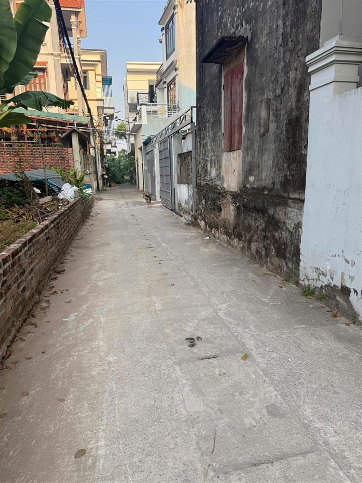 Chính chủ cho thuê nhà riêng tại đội 5 thôn cát thuế, 3 triệu vnd, 55 m2  0985 429 ***