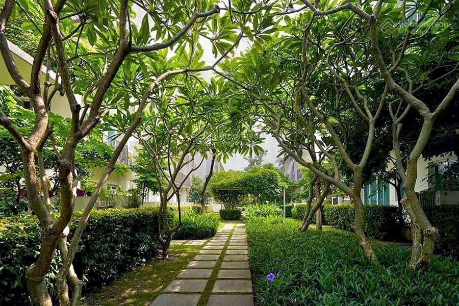 Chính chủ cần bán căn liền kề parkcity 120m2 vị trí siêu đẹp, nội thất full giá 3xtỷ  0968 450 ***