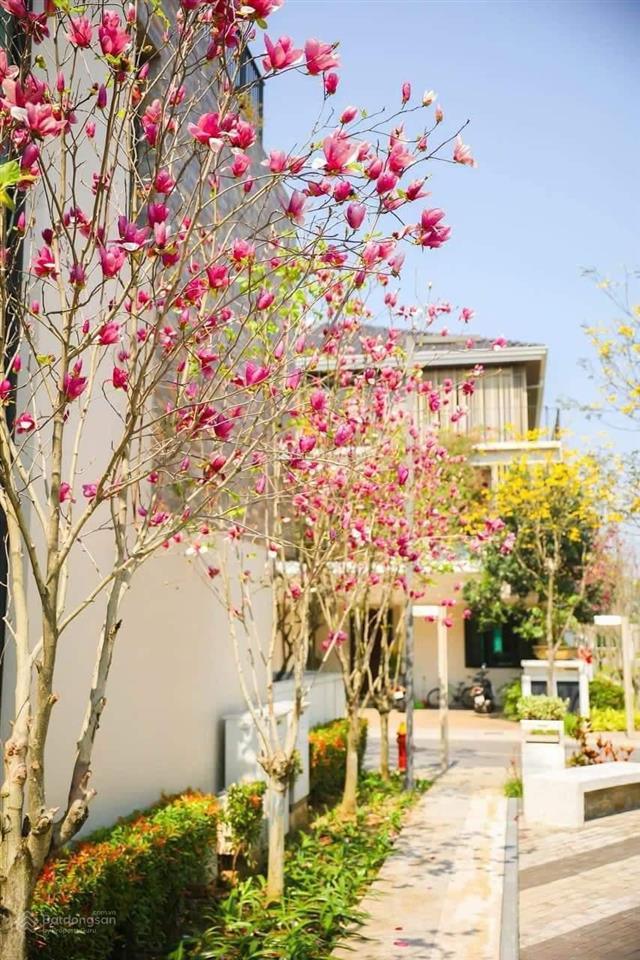 Bán liền kề 120m2, full nội thất hoàn thiện chỉn chu, giá 34 tỷ tại kđt parkcity hà nội 0968 450 ***