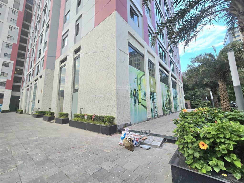 Cho thuê chân đế chung cư hà nội paragon, 86 duy tân, cầu giấy