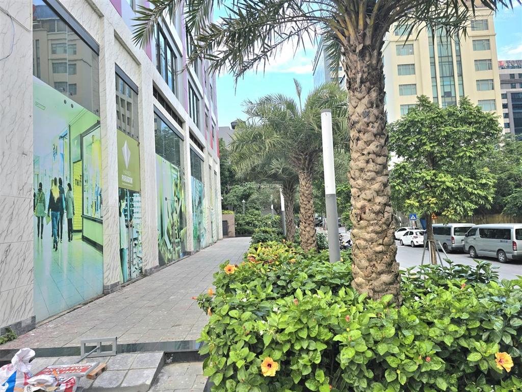 Cho thuê chân đế chung cư hà nội paragon, 86 duy tân, cầu giấy