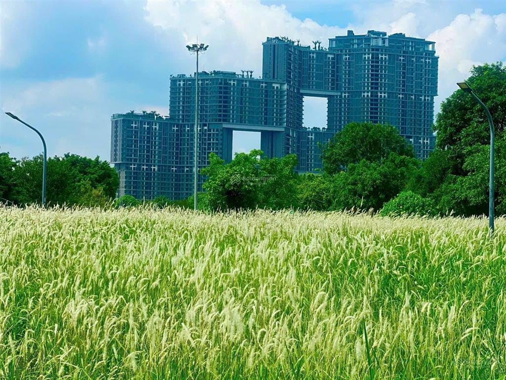 Bán gấp cc 3pn 98m2 tại sky forest residences ecopark, giá 7,55 tỷ