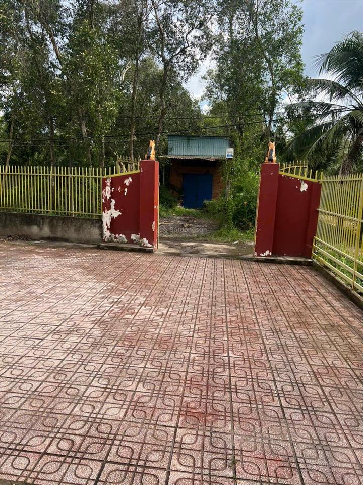 Chính chủ bán nhanh nhà hướng tây 1/ võ văn bích, bình mỹ, củ chi, 1871.7m2 chỉ hơn 8 tỷ
