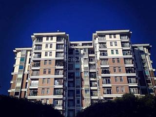 Cho thuê căn hộ Thuận Việt - 87m2/2PN giá 14 triệu/tháng