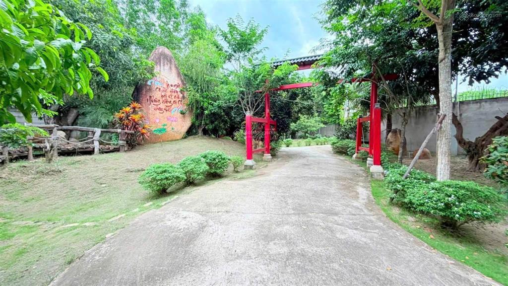 Cần tiền bán gấp nhà vườn gỗ 200m2 thổ cư tặng 1700m2 đất giá tốt chỉ 13 tỷ