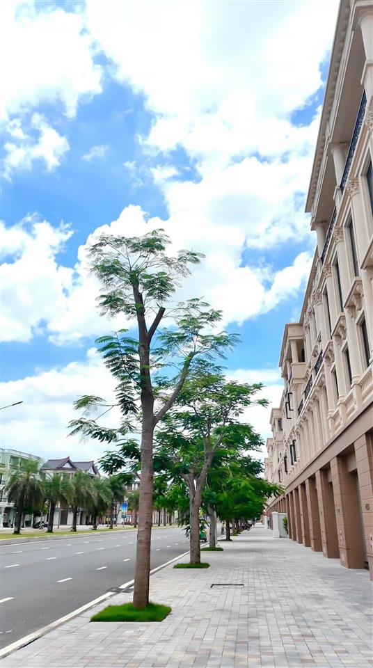 Shophouse hai mặt tiền trục hạnh phúc 42m vinhomes vũ yên. giá 12 tỷ diện tích 100m2