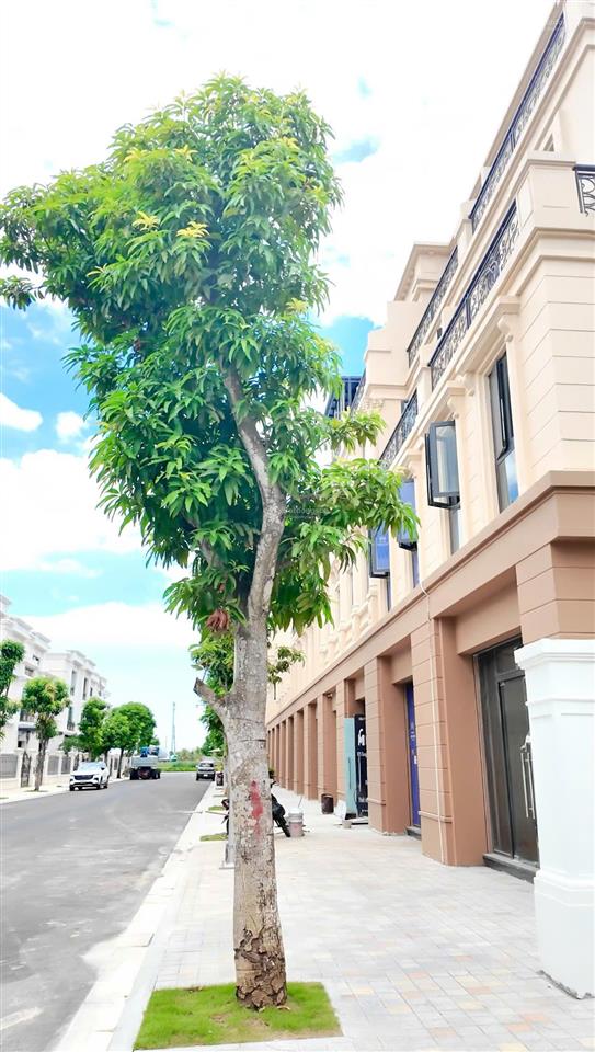 Shophouse hai mặt tiền trục hạnh phúc 42m vinhomes vũ yên. giá 12 tỷ diện tích 100m2