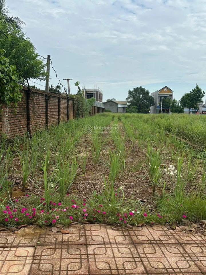Bán đất chính chủ tại thôn hoà trúc xã phú cát