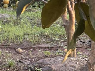 Bán đất kỳ dương xã chương dương, thường tín, hà nội