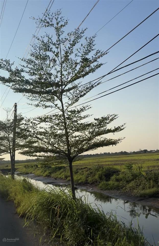 Bán đất kỳ dương, chương dương, giữa khu đẹp vin olympic