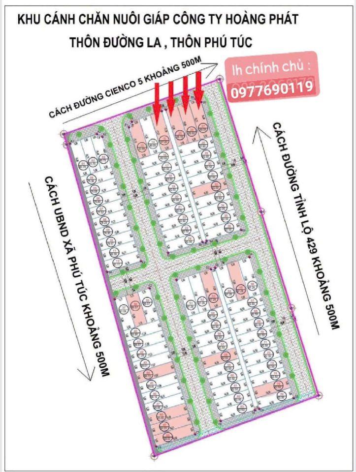 🔥🏡 ĐẤU GIÁ  ĐƯỜNG LA – PHÚ TÚC | LÔ MẶT ĐƯỜNG KINH DOANH – CƠ HỘI ĐẦU TƯ 🔥0977690119 ✨ Giá trúng thấp hơn phiên trước