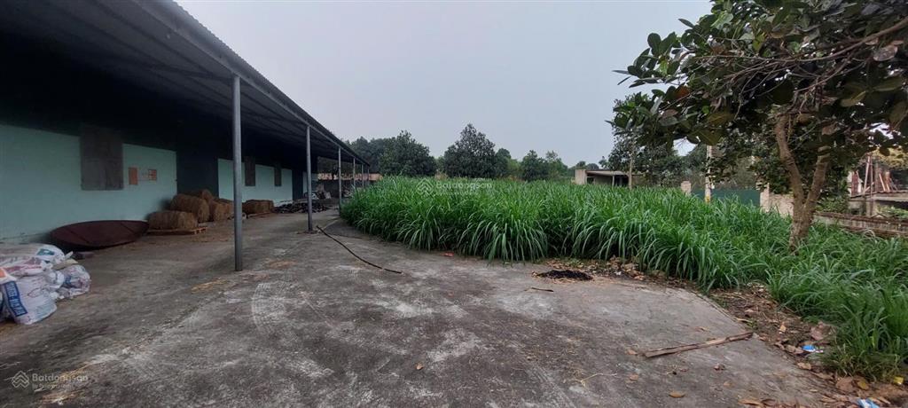 Chính chủ cần bán 311m2 đất tại thôn hát giang, tản lĩnh, chỉ 8 tr/m2