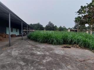 Chính chủ cần bán 311m2 đất tại thôn hát giang, tản lĩnh, chỉ 8 tr/m2