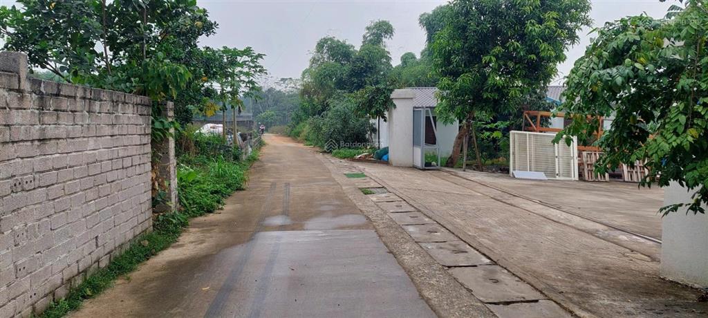 Bán đất tản lĩnh, ba vì, cách đường 87a chỉ 1km, dt 530m², chỉ nhỉnh 5 triệu/m2