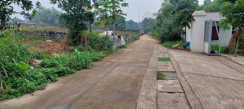 Bán đất tản lĩnh, ba vì, cách đường 87a chỉ 1km, dt 530m², chỉ nhỉnh 5 triệu/m2