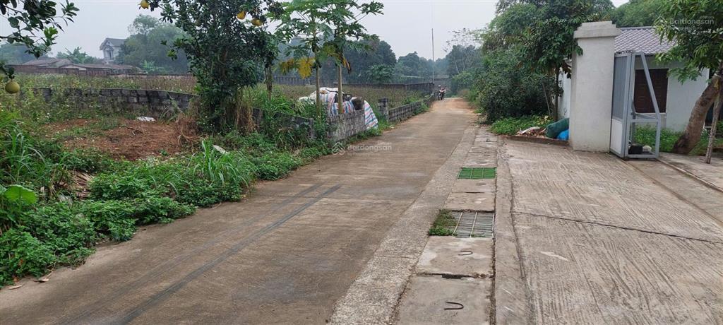 Bán đất tản lĩnh, ba vì, cách đường 87a chỉ 1km, dt 530m², chỉ nhỉnh 5 triệu/m2