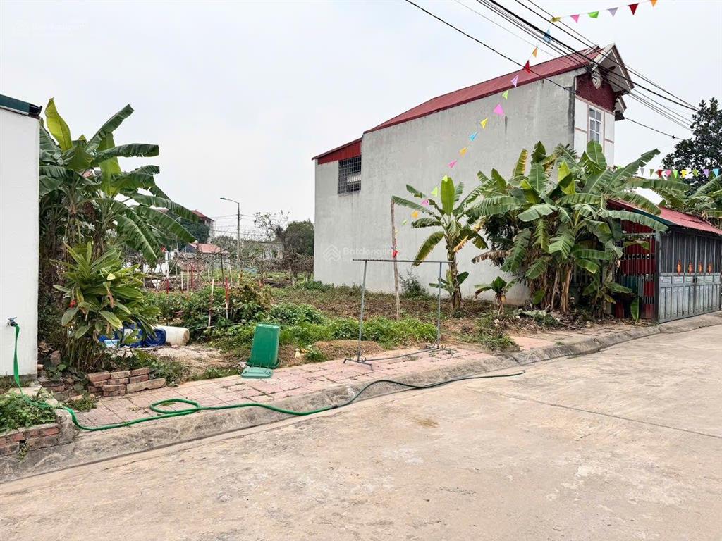 Bán đất ở sổ đỏ trao tay diện tích 99.6m²