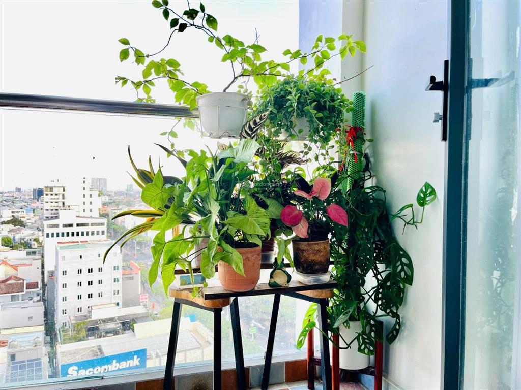 Bán chung cư quang nguyễn, 2pn full nội thất view đường nguyễn hữu thọ