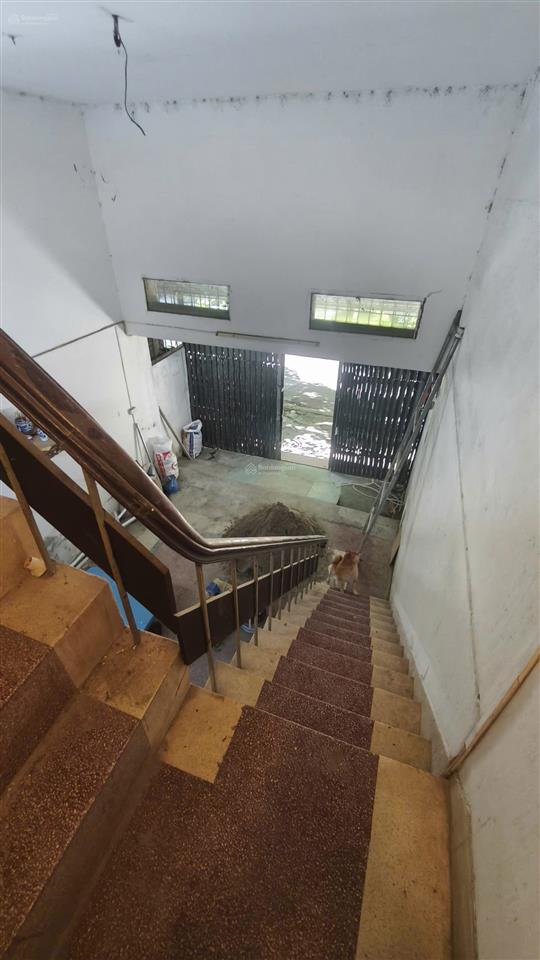 Chính chủ cho thuê 68m2 x 2.5 tầng ngõ 12 đào tấn, mt 4.4m, ô tô vào nhà, ngay phố, hợp kinh doanh