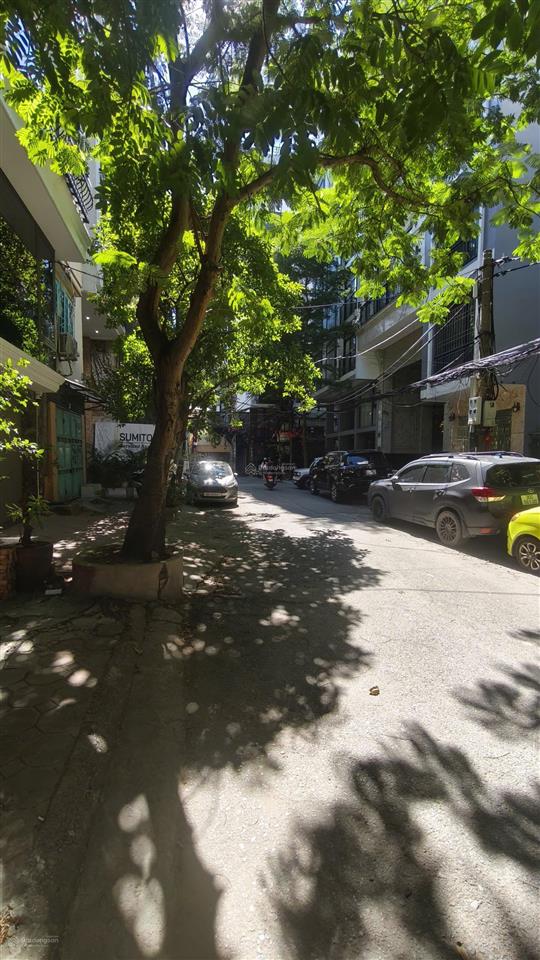 Chính chủ cho thuê 68m2 x 2.5 tầng ngõ 12 đào tấn, mt 4.4m, ô tô vào nhà, ngay phố, hợp kinh doanh
