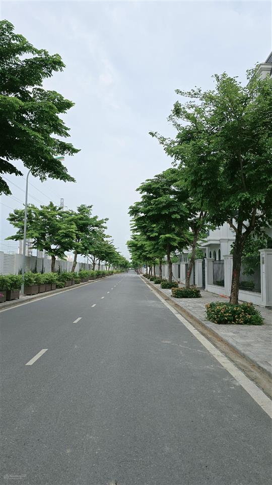 Bán gấp, gia đình cần chuyển đổi chỗ ở bán nhanh căn bt lô 220m2 giá 37 tỷ.