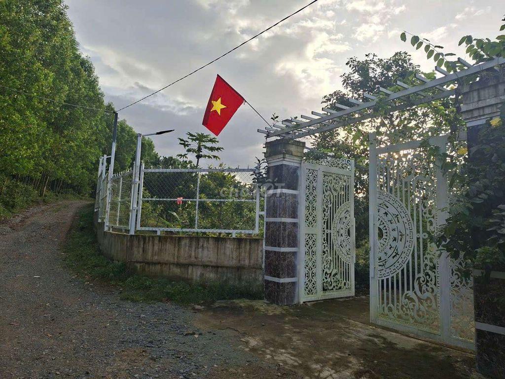 Đất Nền