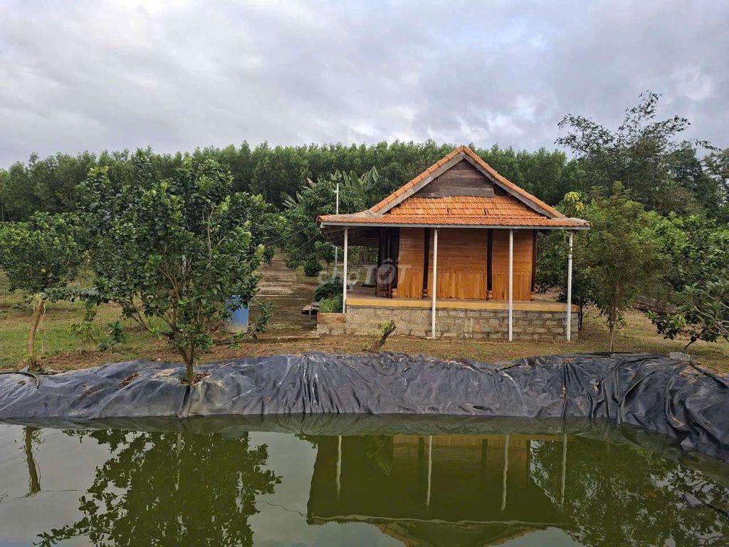 Đất Nền
