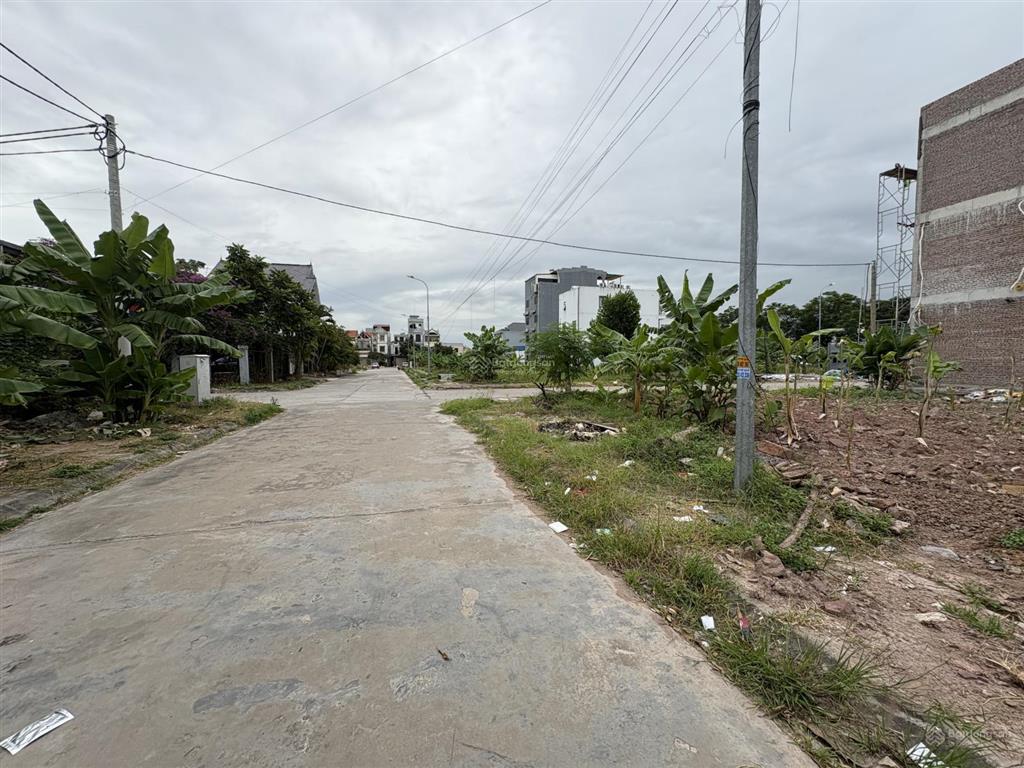 Cần bán lô đất 150 m2 (10 x 15) m khu phân lô đồng quán  thủy sơn  thủy nguyên, giá 4,2 tỷ.