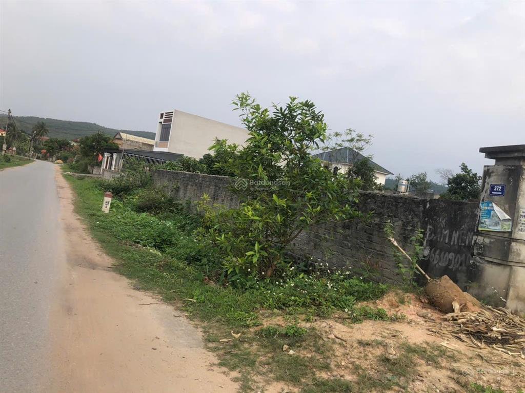 Chính chủ bán đất trung tâm cộng hoà, chí linh, hải dương, 3100m2 mt30m đường nhựa 6m giá 12tỷ