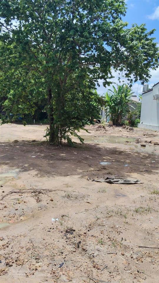Bán gấp đất thổ cư 612m2 tại đường 51, long thành trung, hòa thành, 4,7 tỷ