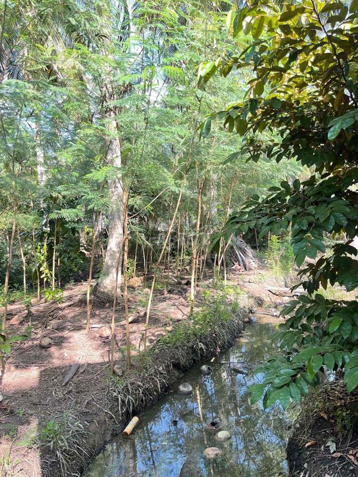bán đất