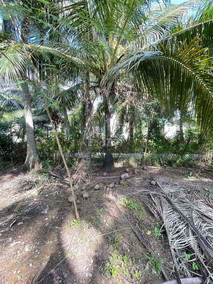 bán đất